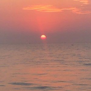 Meet your Posher, Rita